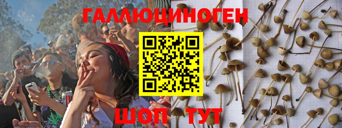 Родники  Псилоцибиновые грибы Psilocybine cubensis  Галлюциногенные грибы Magic Shrooms  Вход с VPN 