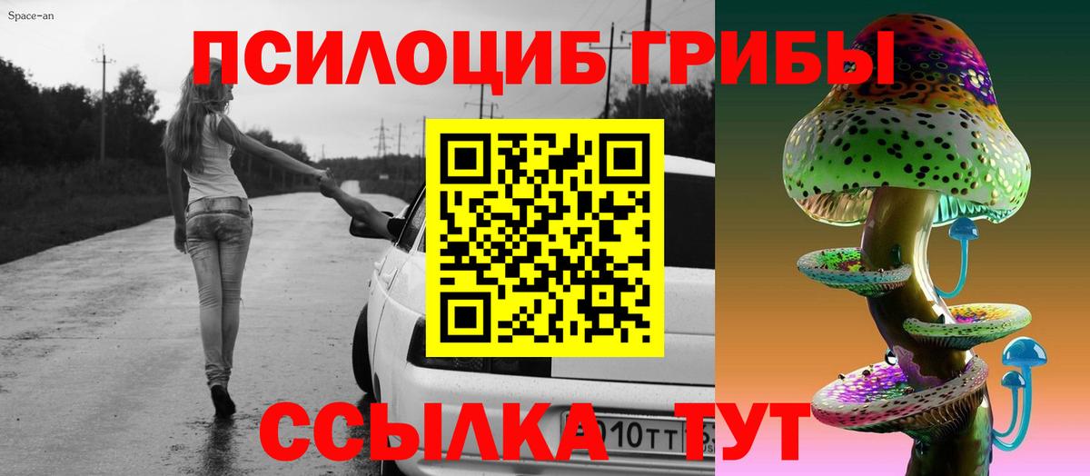 Псилоцибиновые грибы Cubensis Родники